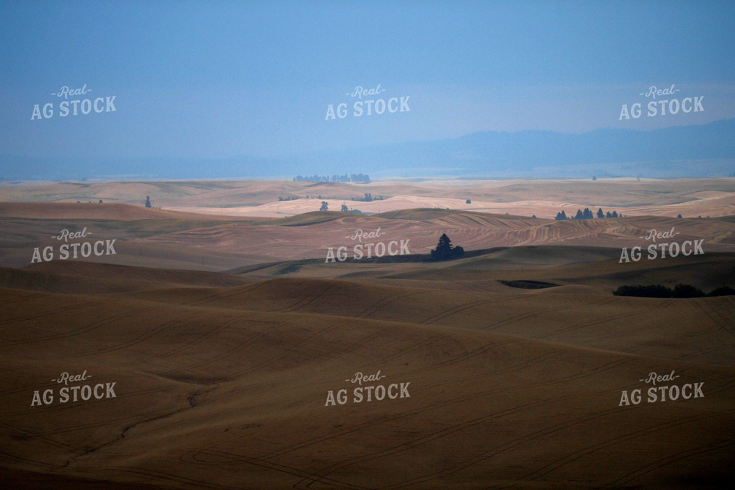 Rural Countryside with Rolling Hills 129041