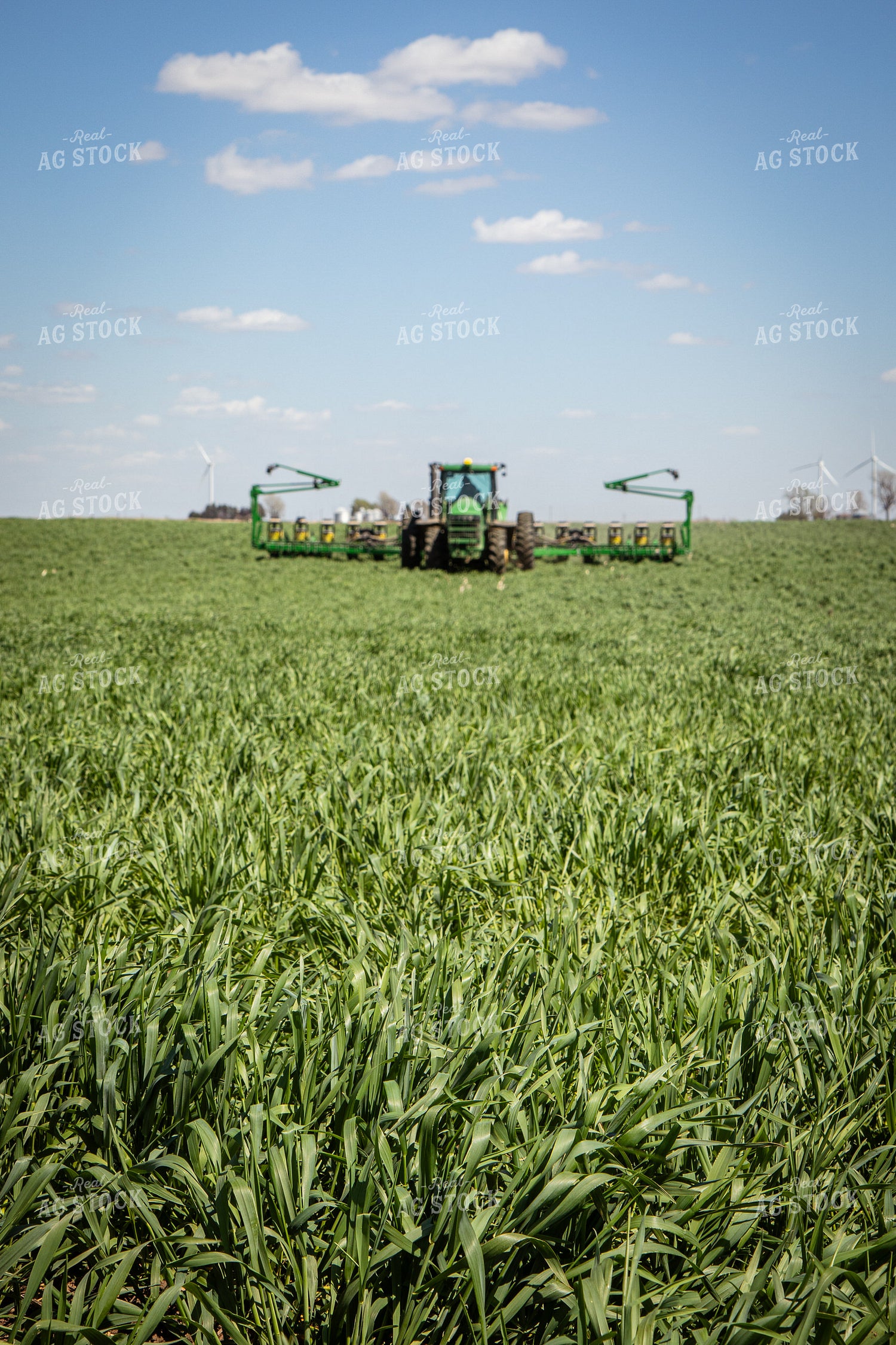Planting into Cover Crops 67675