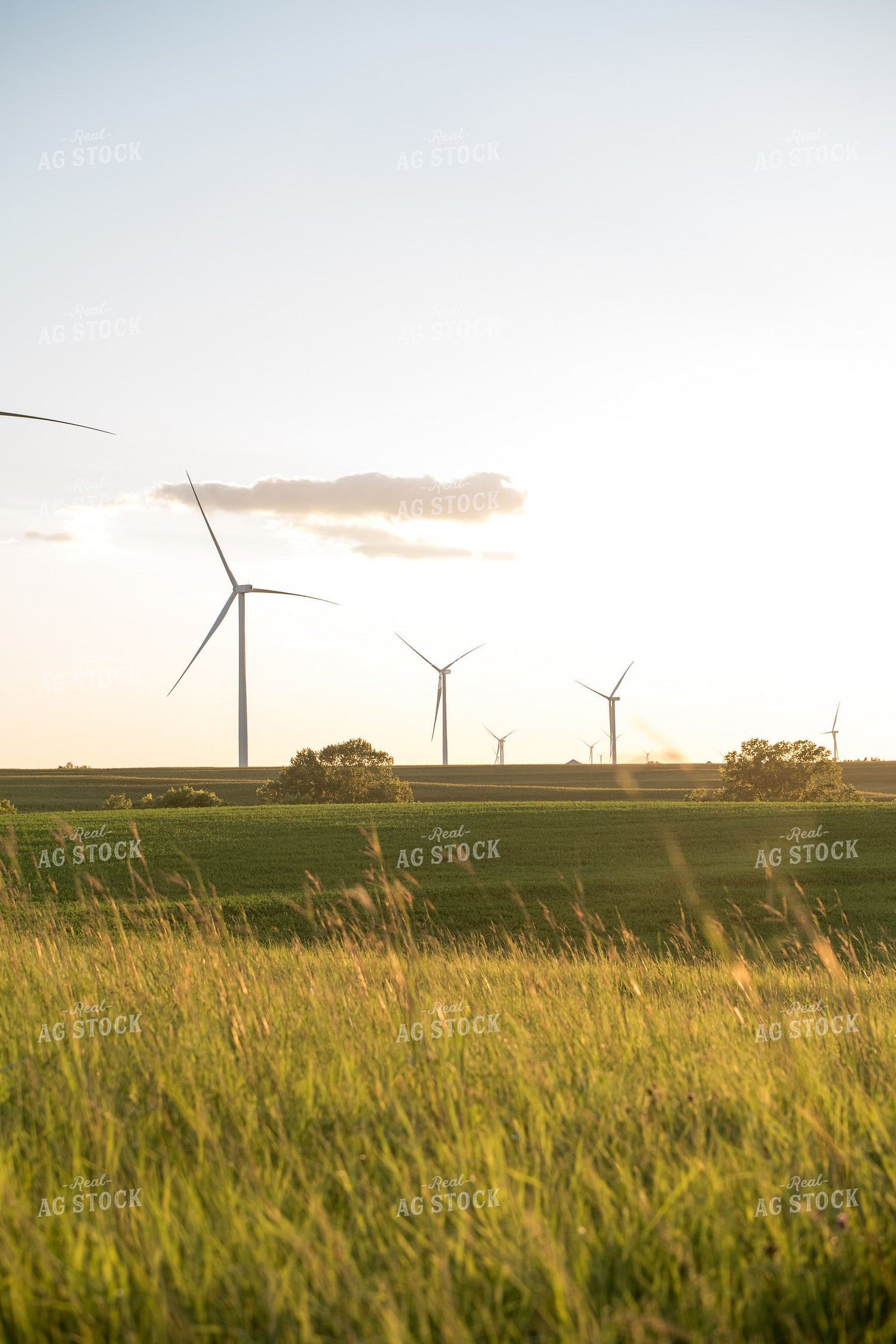 Scenic Summer Views 76483