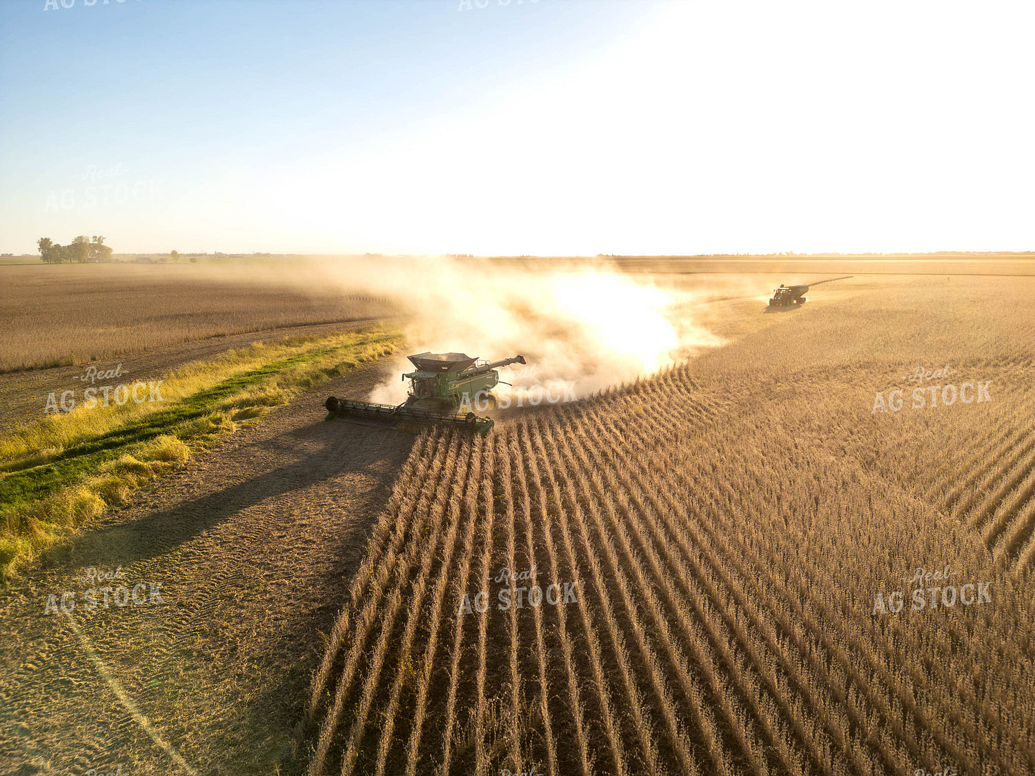 Aerial of Soybean Harvest 115610