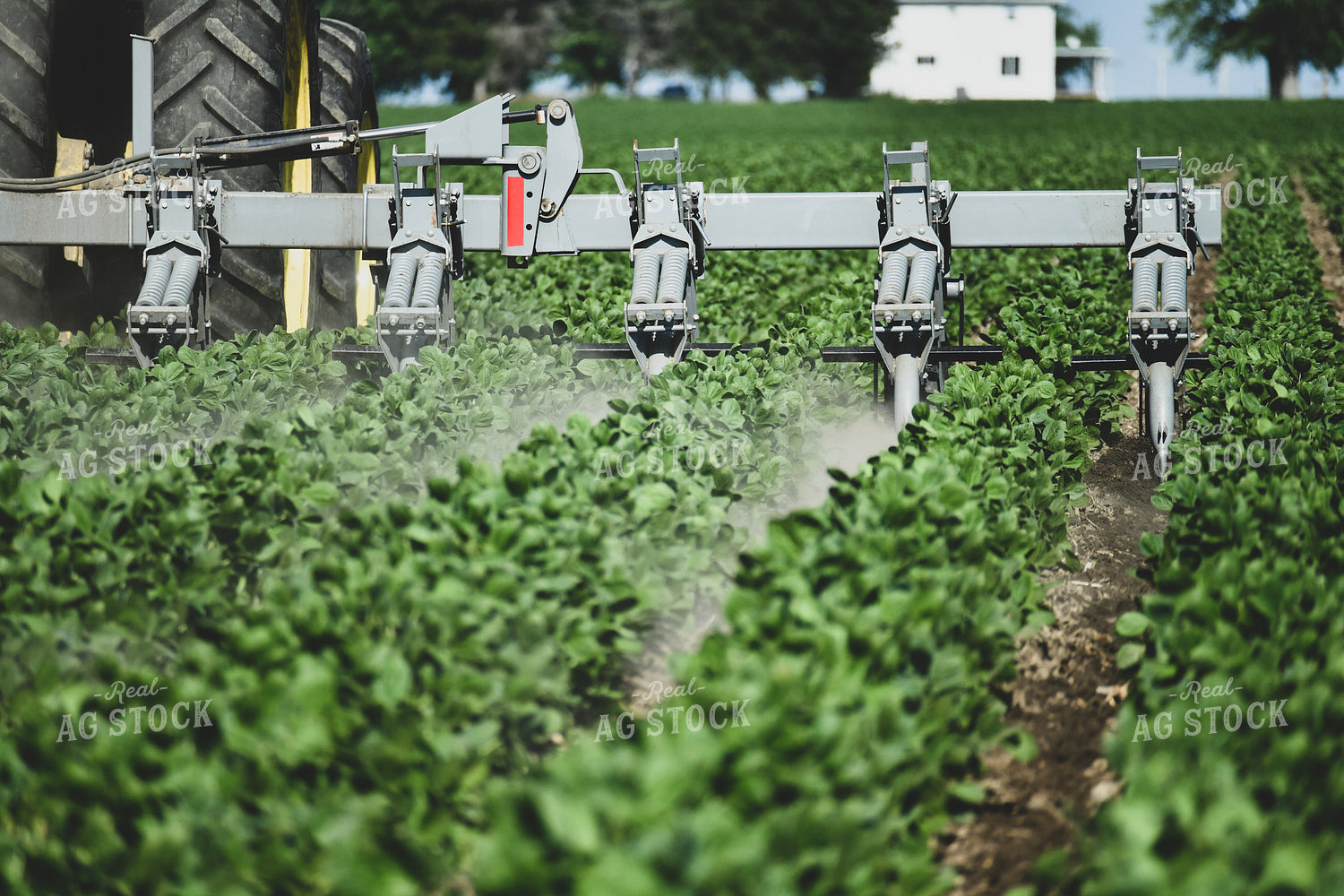 Ridge Tilling Between Rows of Soybeans 86009