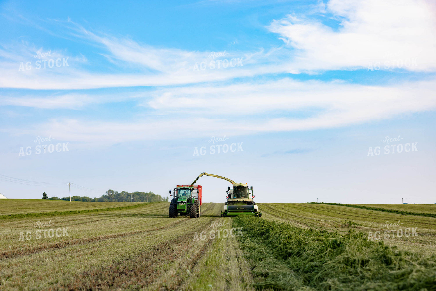 Chopping Silage 152003