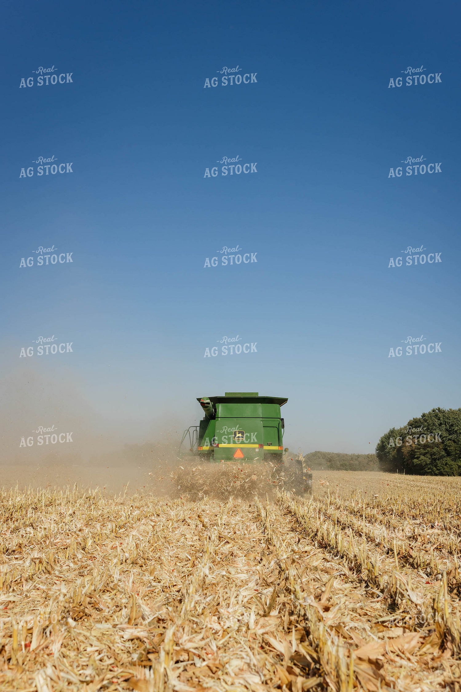Corn Harvest 152642