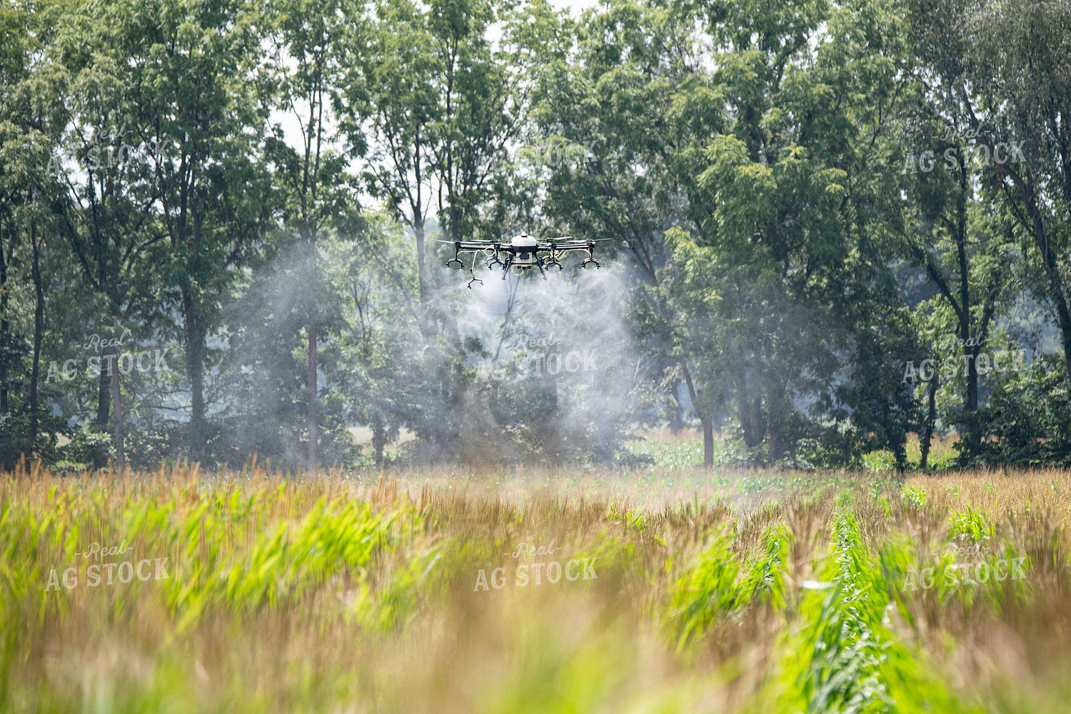 Drone Service Applying Fungicide 168068