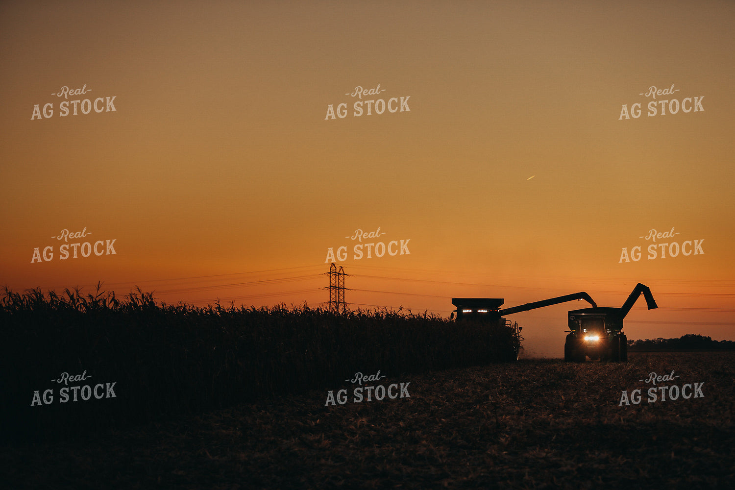 Combine and Auger Cart Harvesting Corn Field 5247