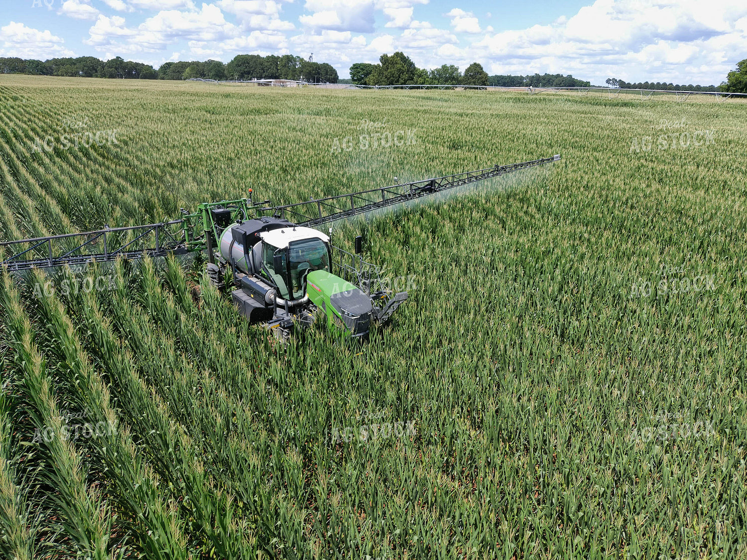 Sprayer in Corn Field 79108