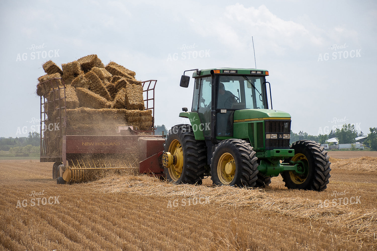 Baling Straw 50139