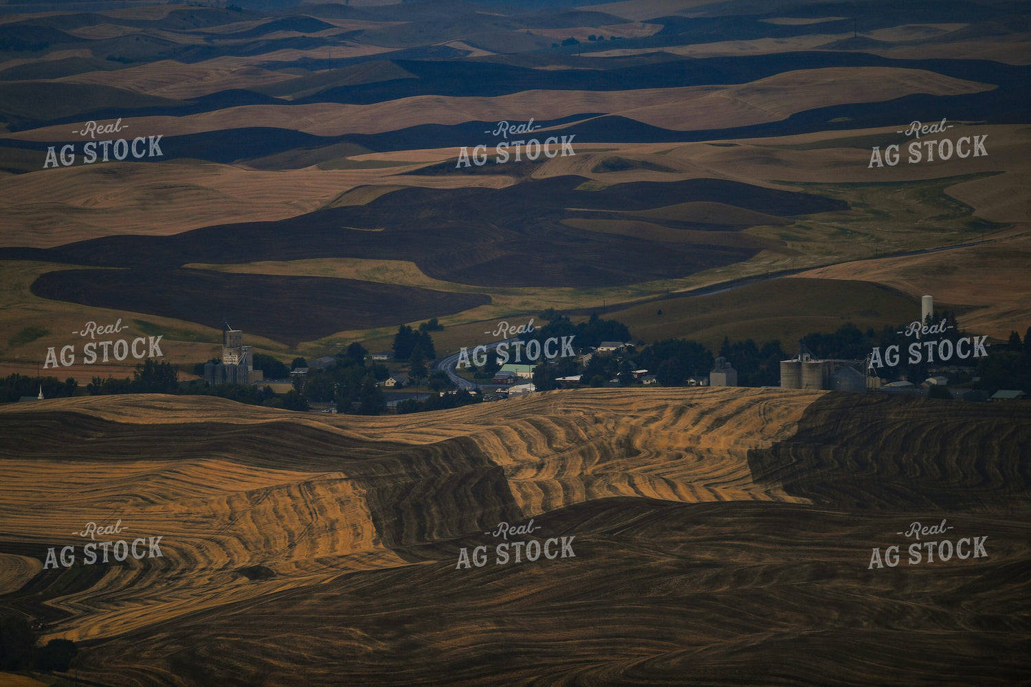 Rural Countryside with Rolling Hills 129043