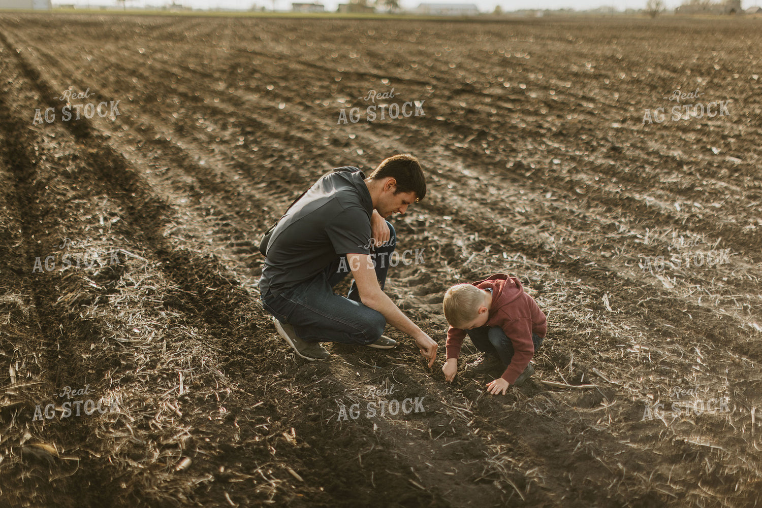 Checking Seed Depth with Farm Kid 8142