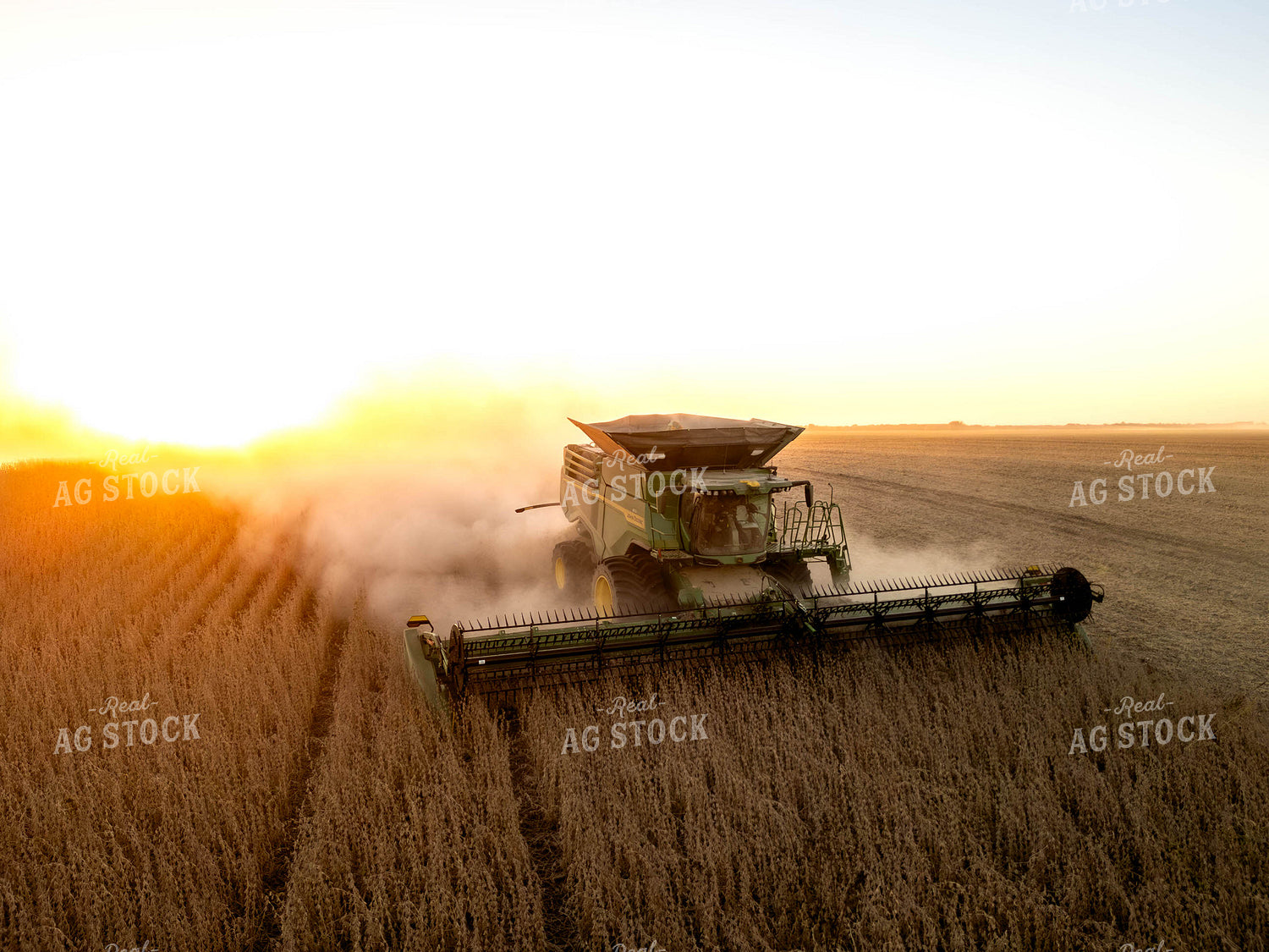 Aerial of Soybean Harvest 115622