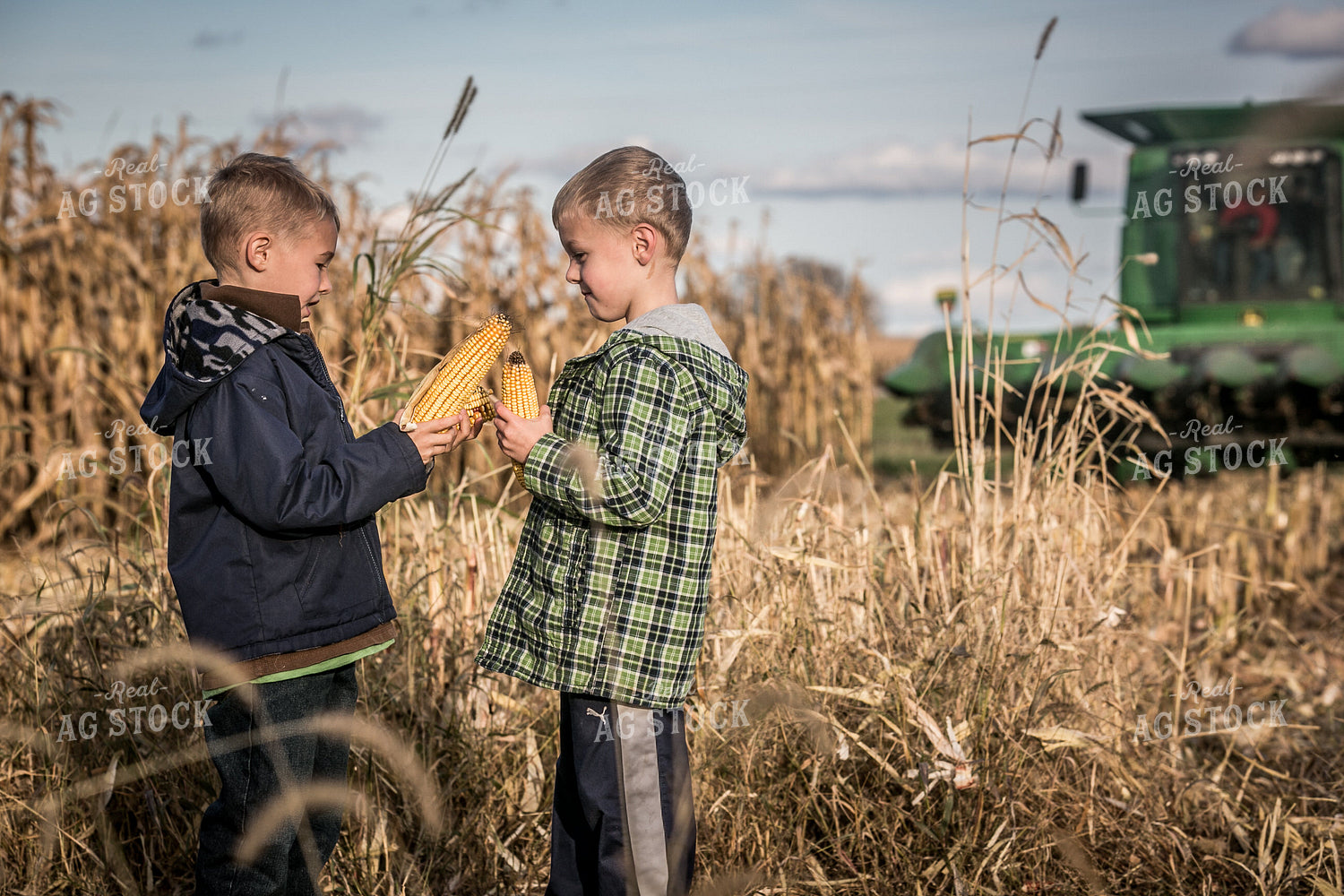 Farm Kids Playing with Ears of Corn 250082