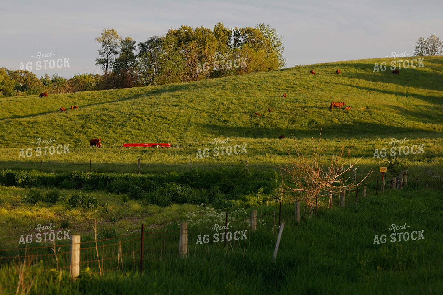 Scenic Landscape 129086
