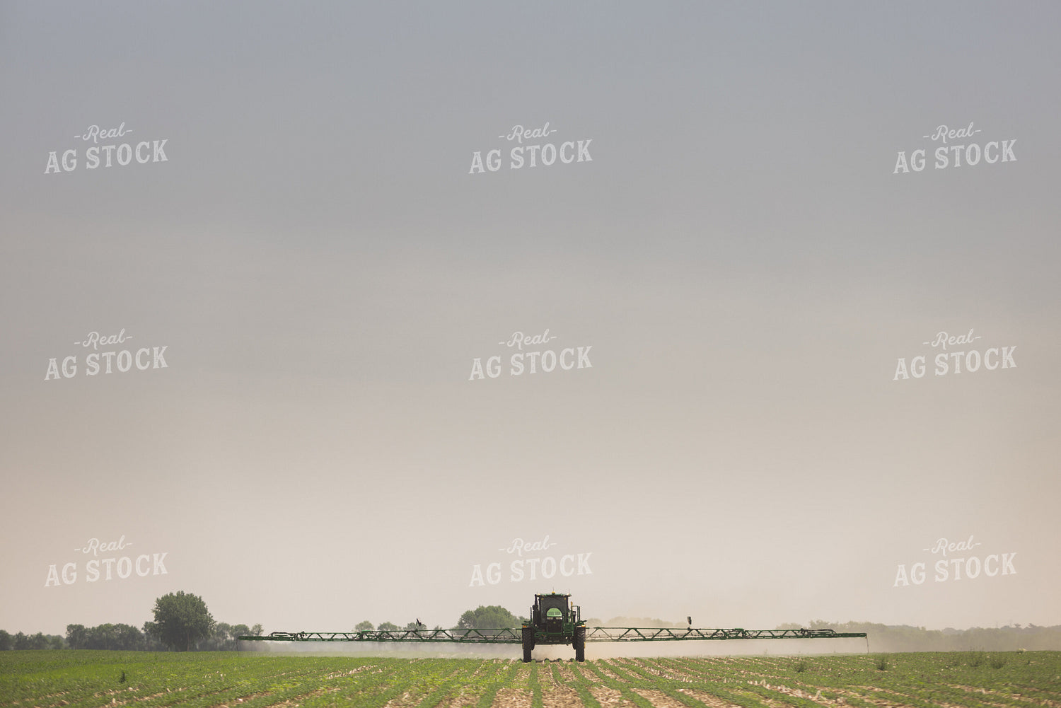 Sprayer Spraying Field 8027