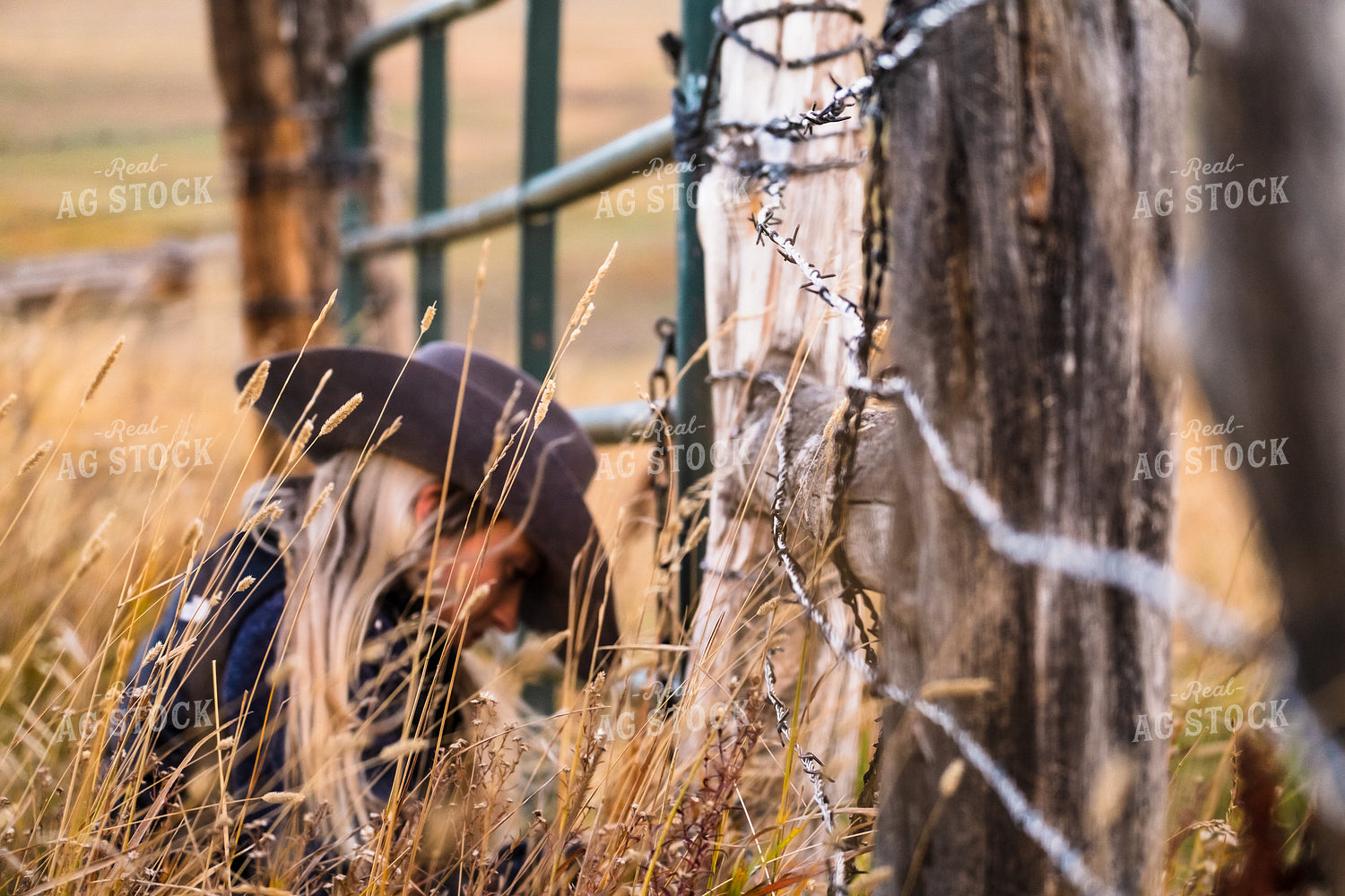 Female Rancher Fixing Fence 163004