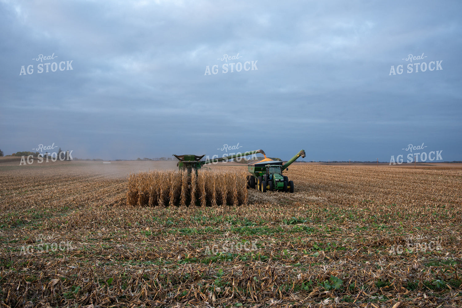 Combine Unloading onto Grain Cart at Sunset 76047
