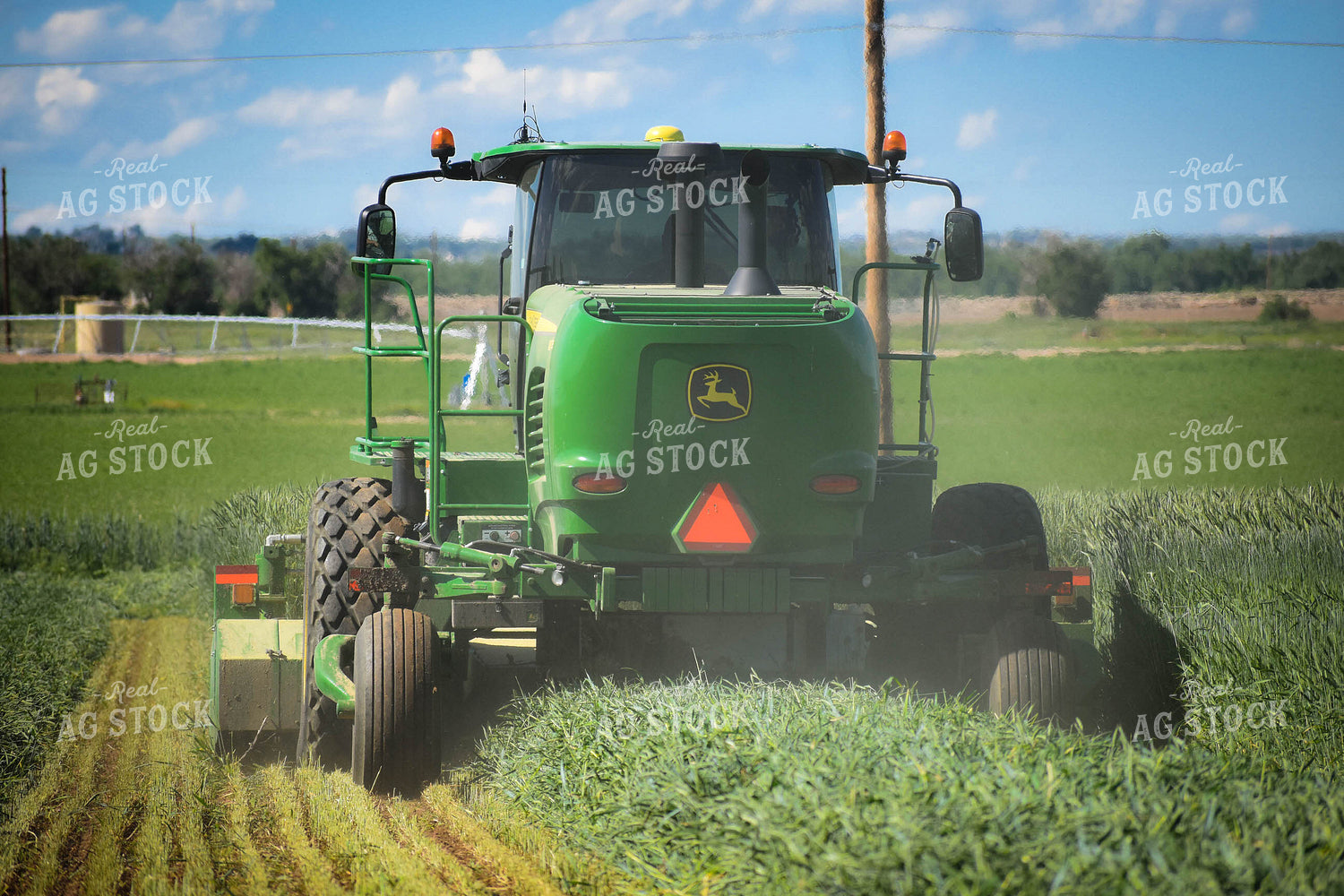 Cutting Wheat 56141
