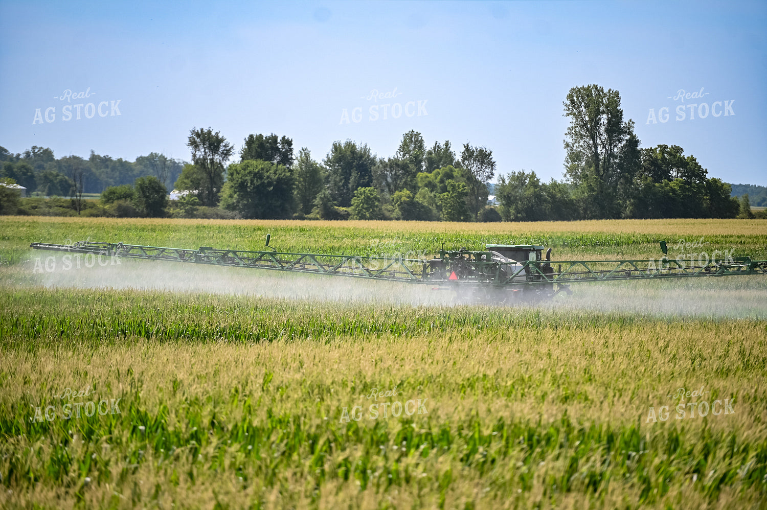 Self-Propellerd Sprayer in Corn Field 90137