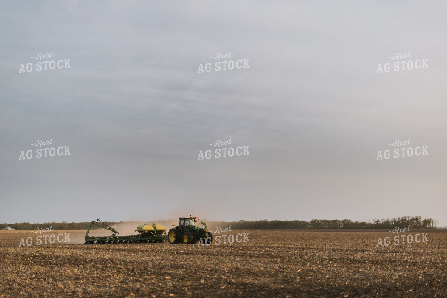 Planting 8231
