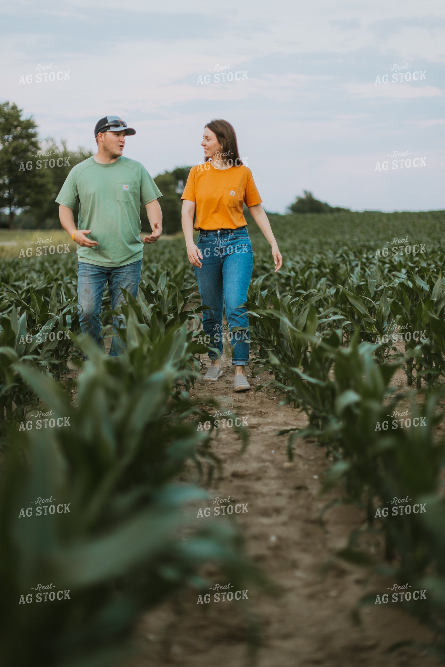 Farmers Scouting Corn Field 7838