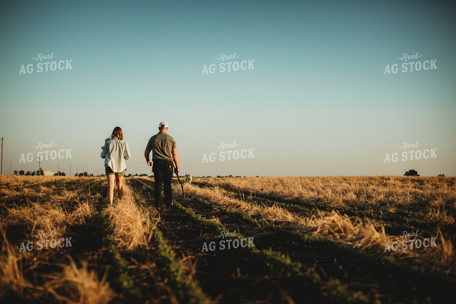 Farm Family in Soybean and Rye Cover Crop Field 5896