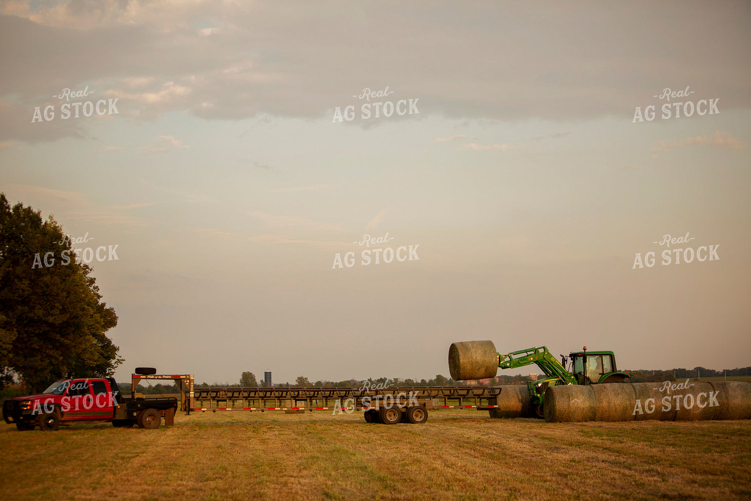 Tractor Loading Hay Bales onto Trailer 5521