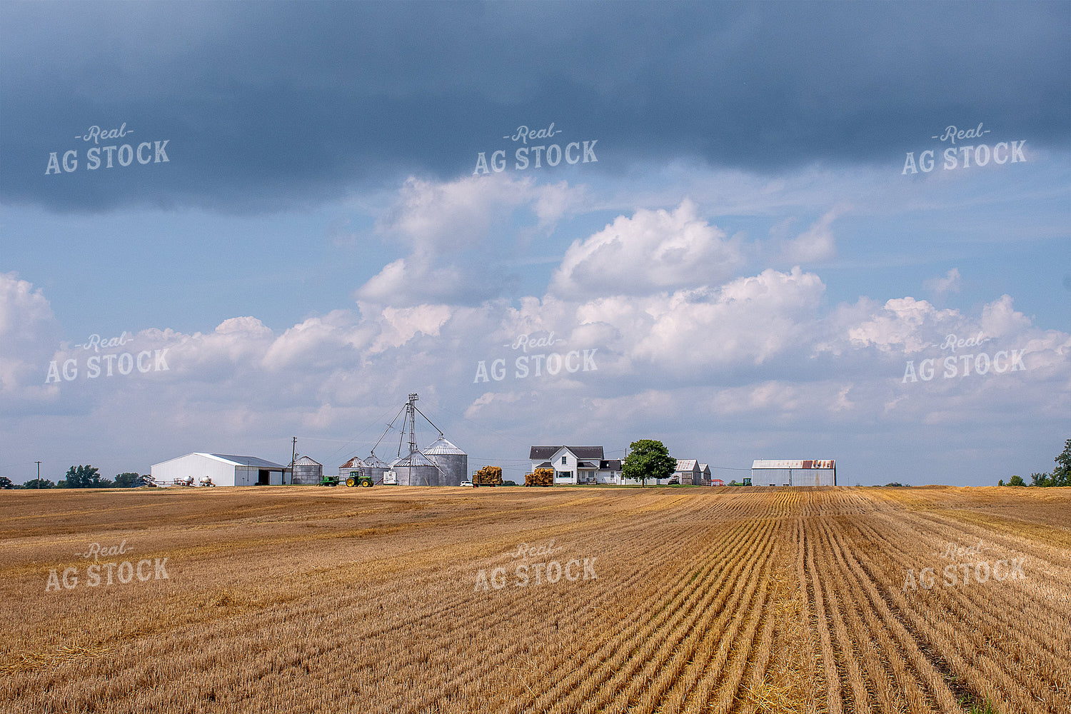 Harvested Wheat and Straw Field 50141