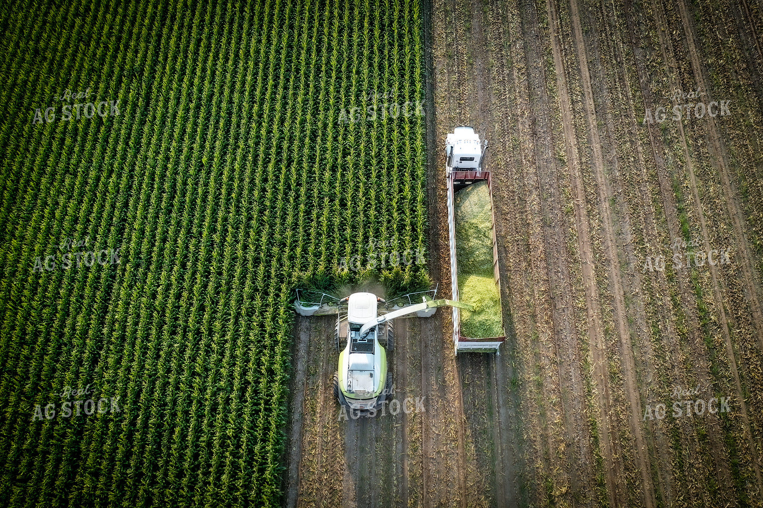 Silage Harvest Drone 56203
