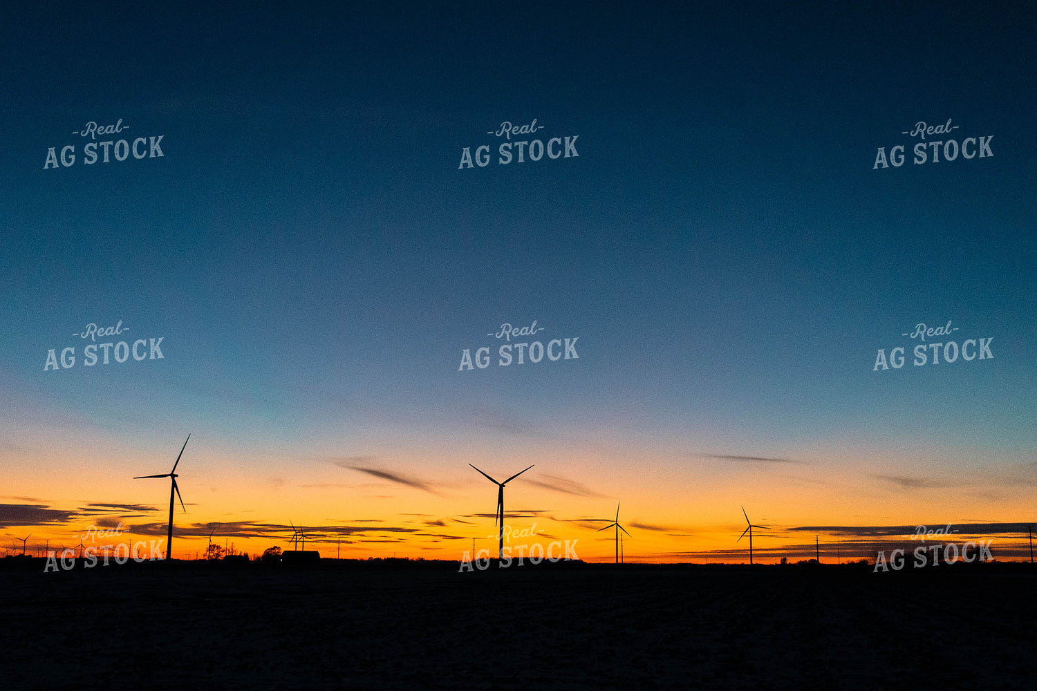 Farmland at Sunset 96030