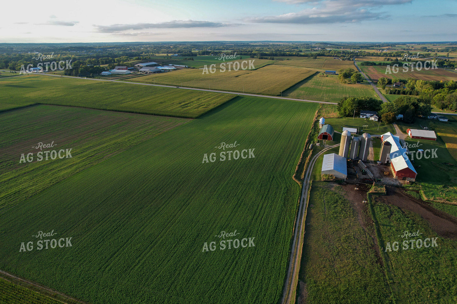 Aerial of Farmland in Summer 261078
