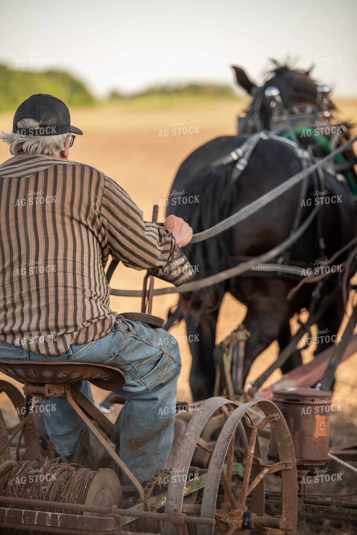 Farmer Holding Reins 76577