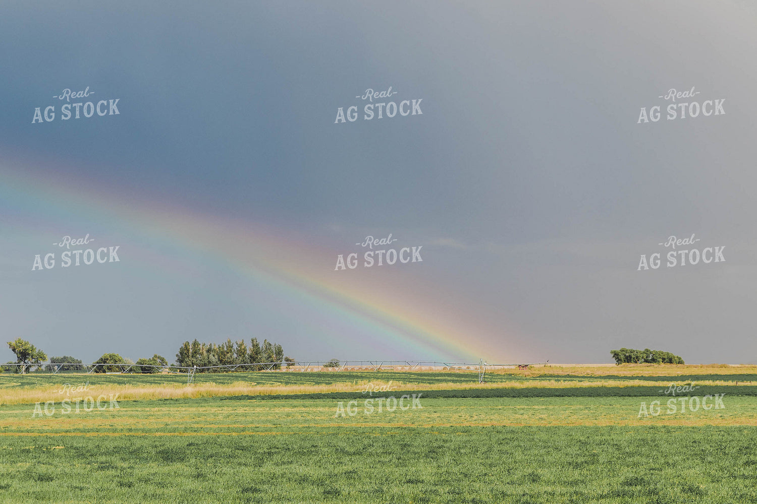 Rainbow Over Hay Field 61052