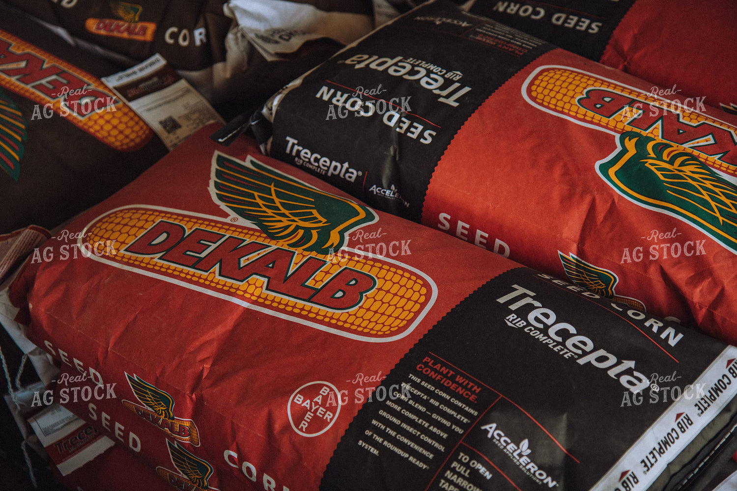 Dekalb Seed Corn 67210