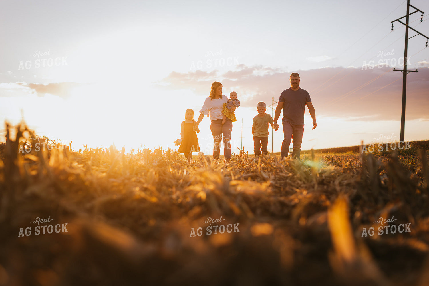 Farm Family Walking in Field 9382