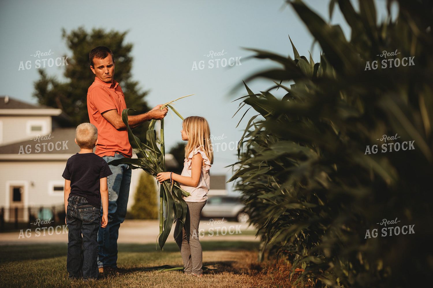 Farmer and Farm Kids Checking Corn Crop 4507