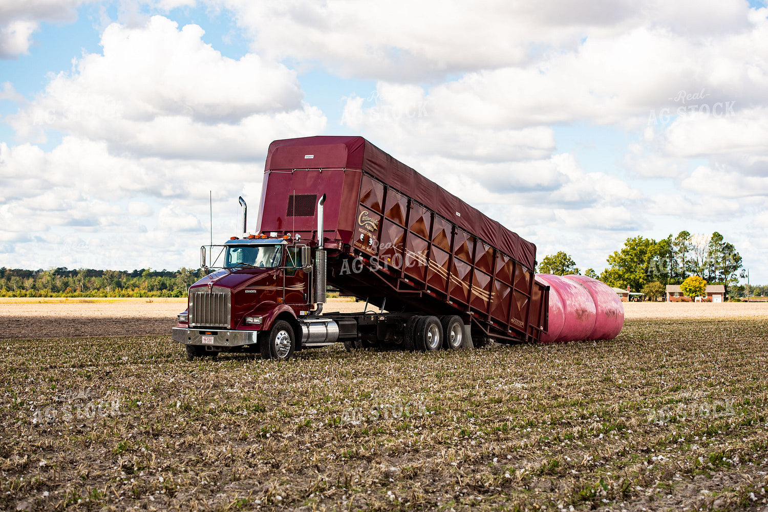 Loading Cotton Modules 136114