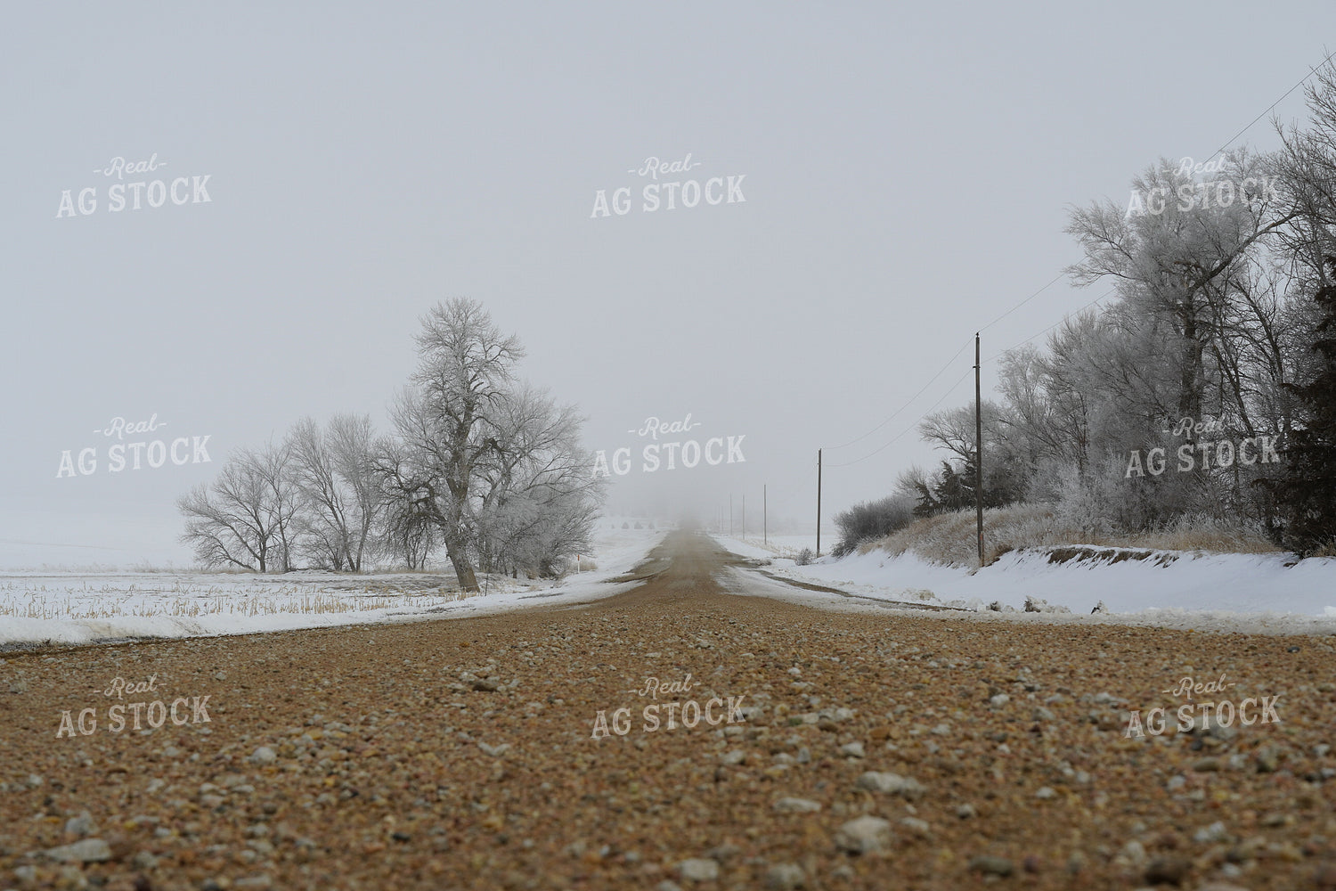 Snowy Gravel Road 65018