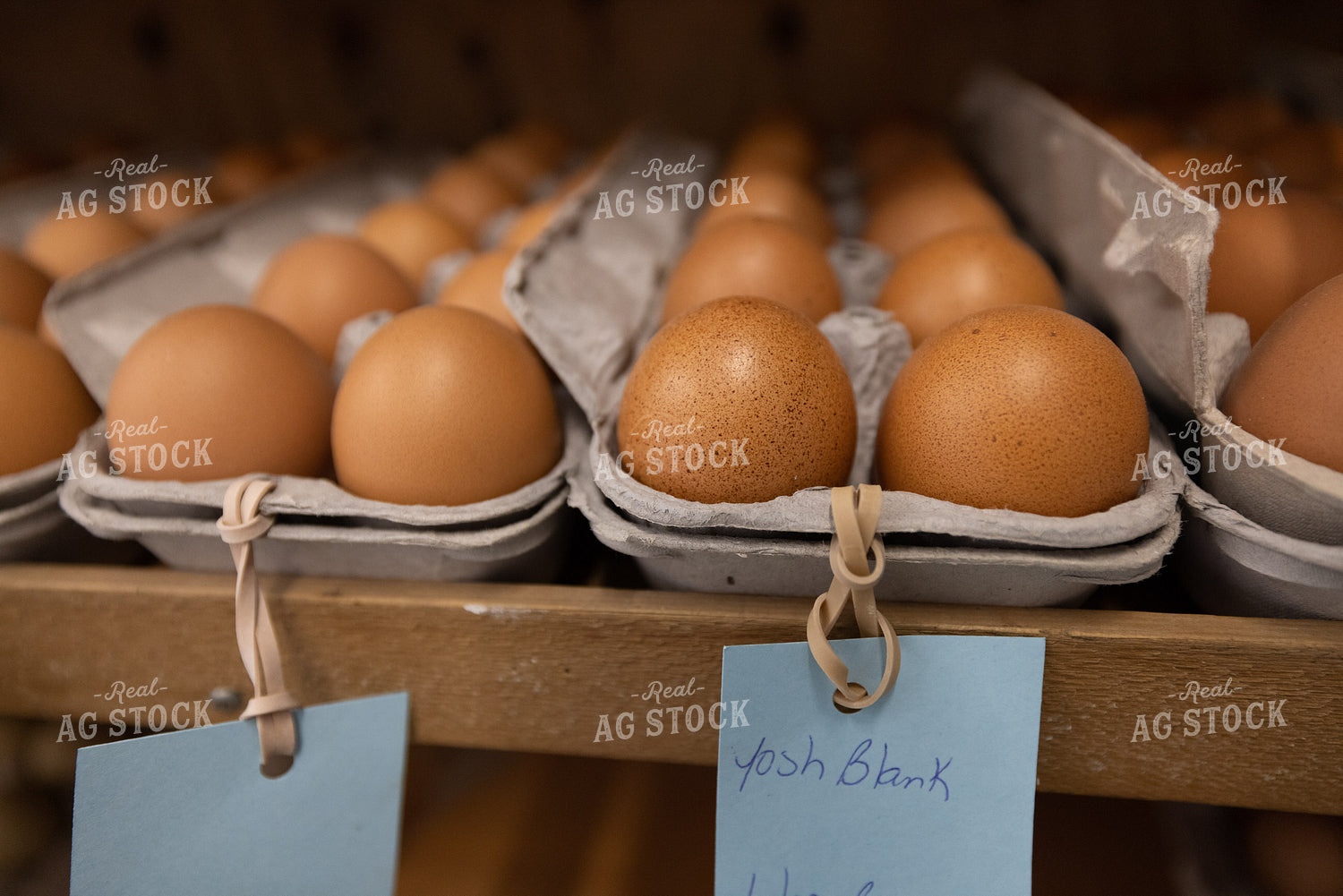 Eggs 270094