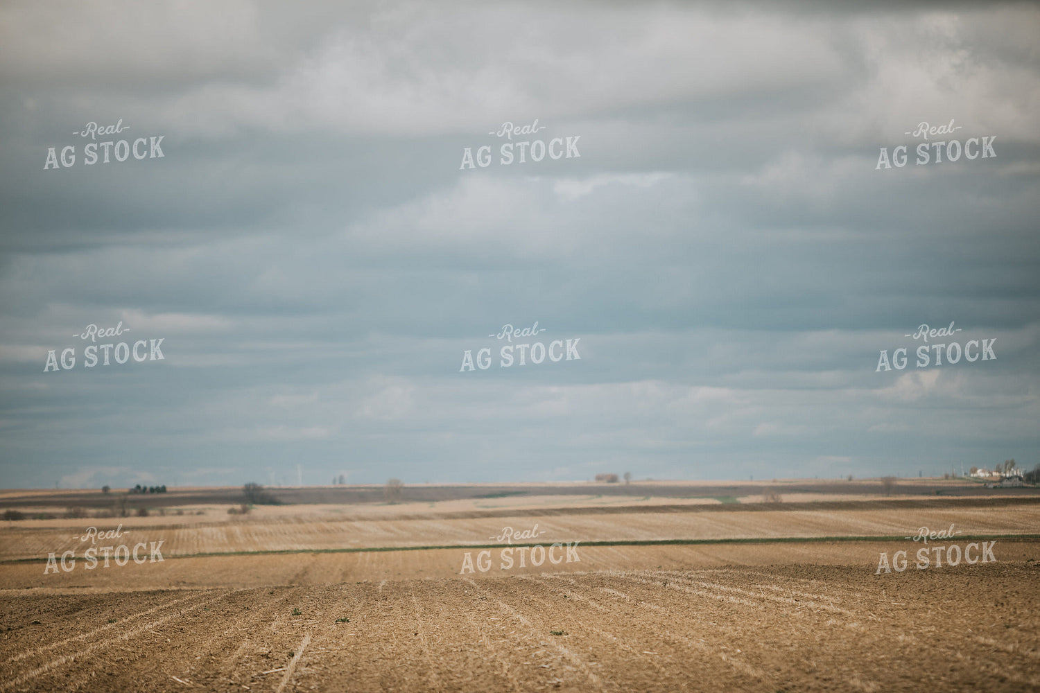 Unplanted Field in Spring 5402