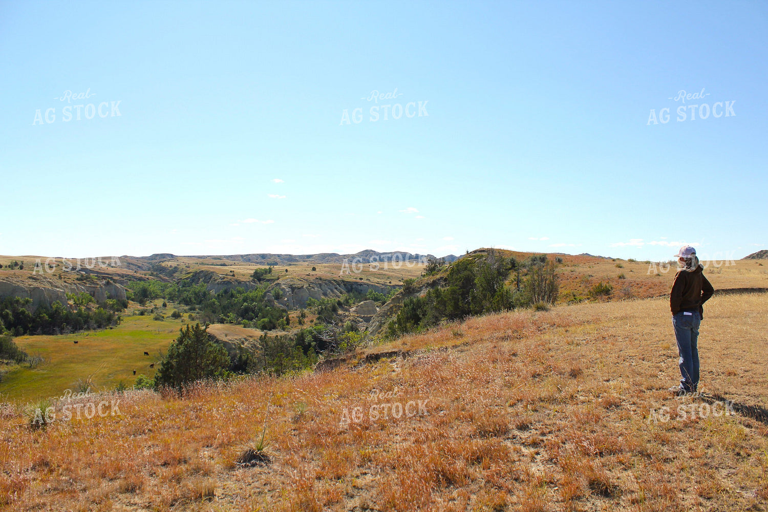 Female Rancher Overlooking Pastures 183004