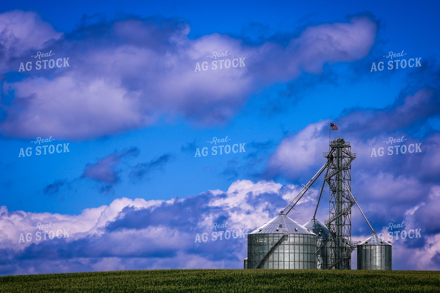 Grain Bin Over Tasseled Corn Field 214076