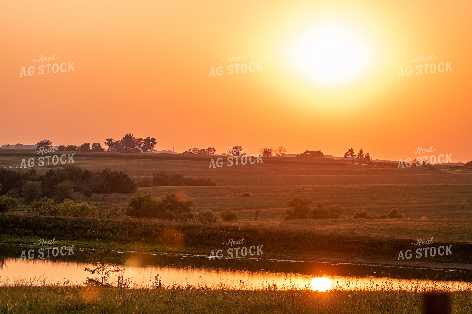 Sunset over Pasture 214052