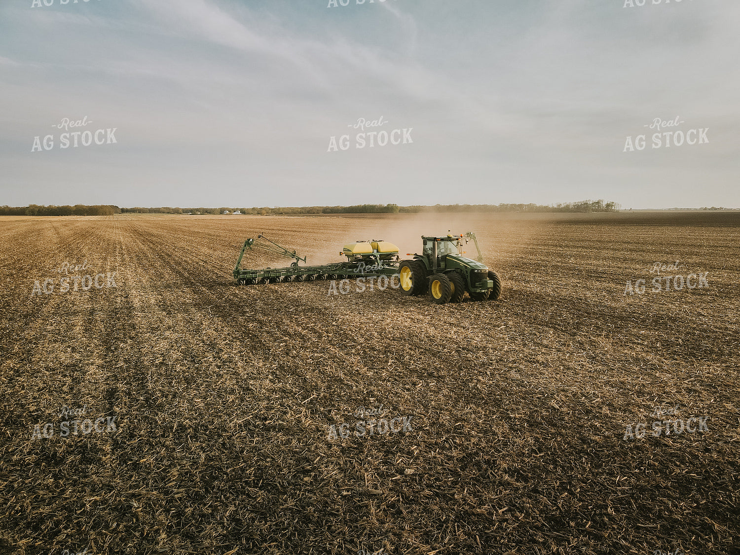 Planting 8172
