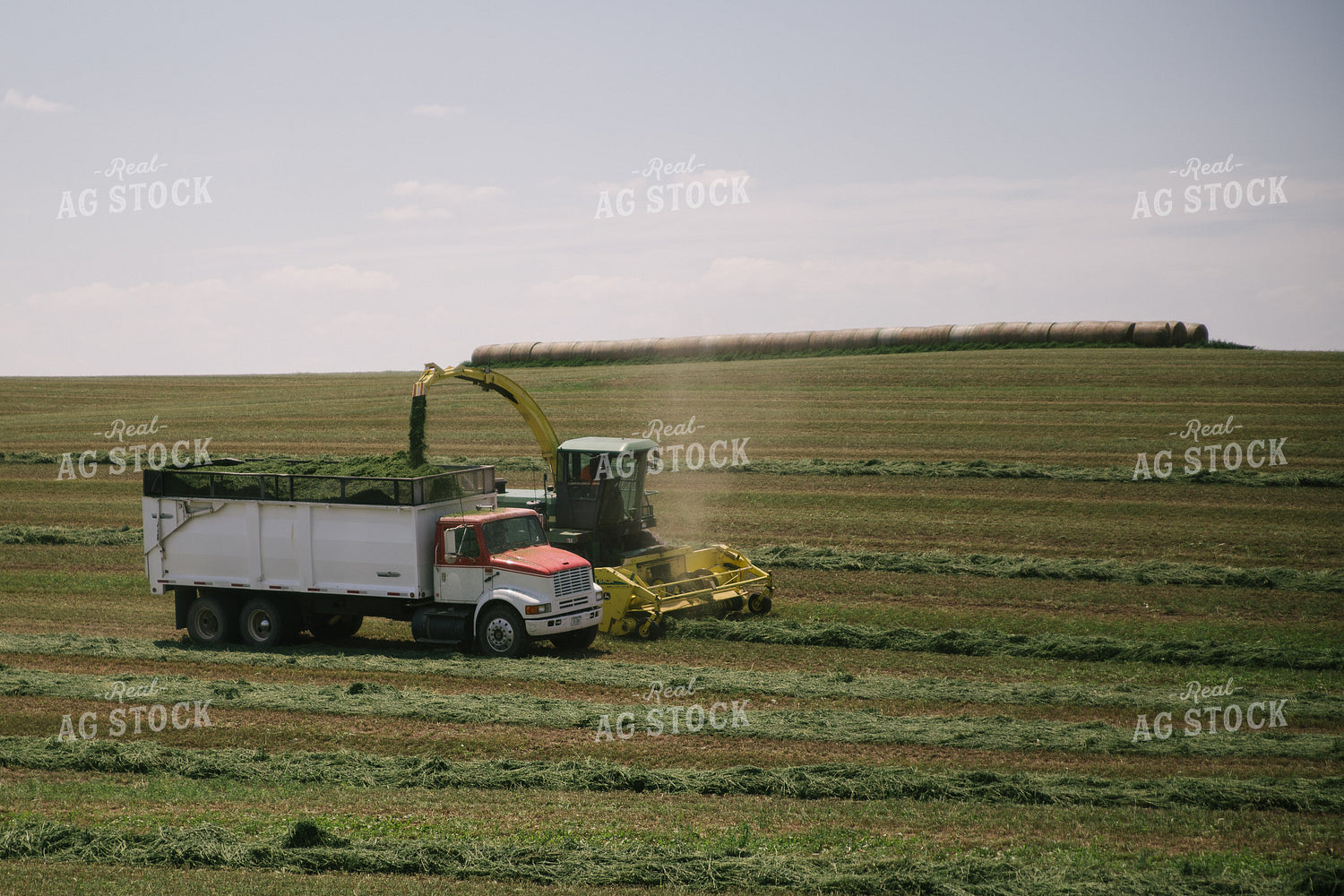 Harvesting Hay Silage 70057