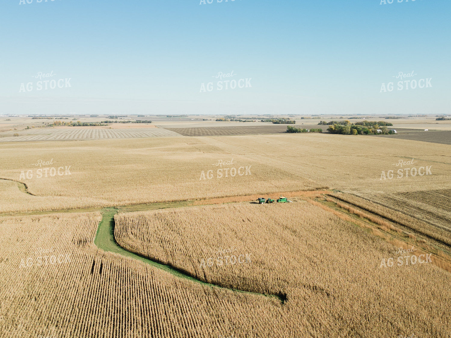 Aerial of Corn Harvest 67523