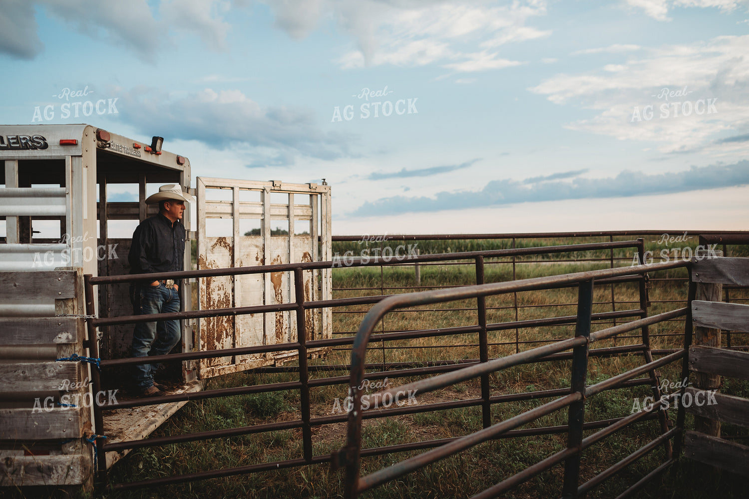 Rancher and Livestock Trailer 6473