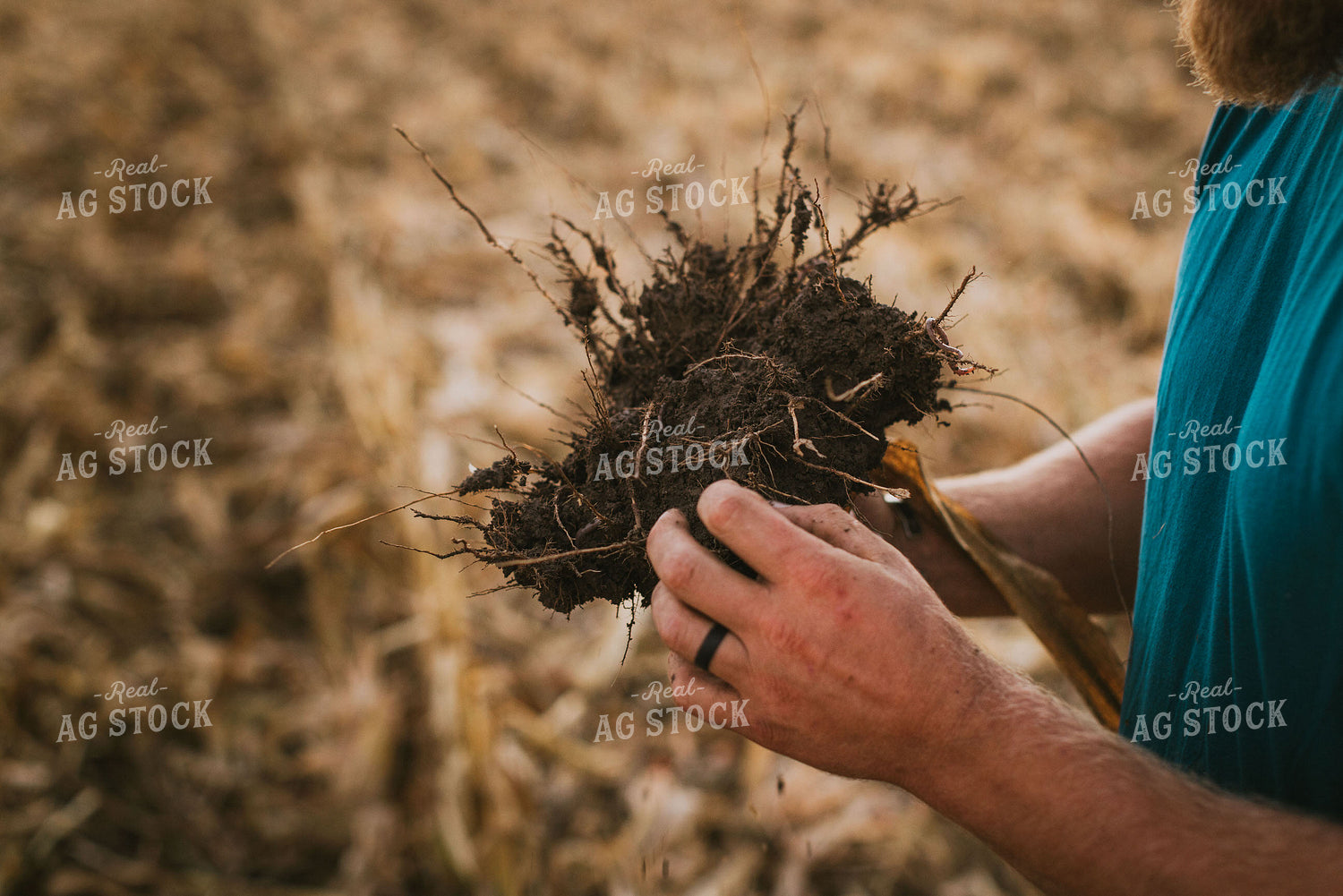 Farmer Checking Root Ball 9407