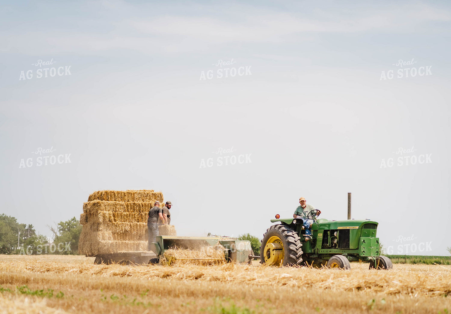 Baling Hay 115001