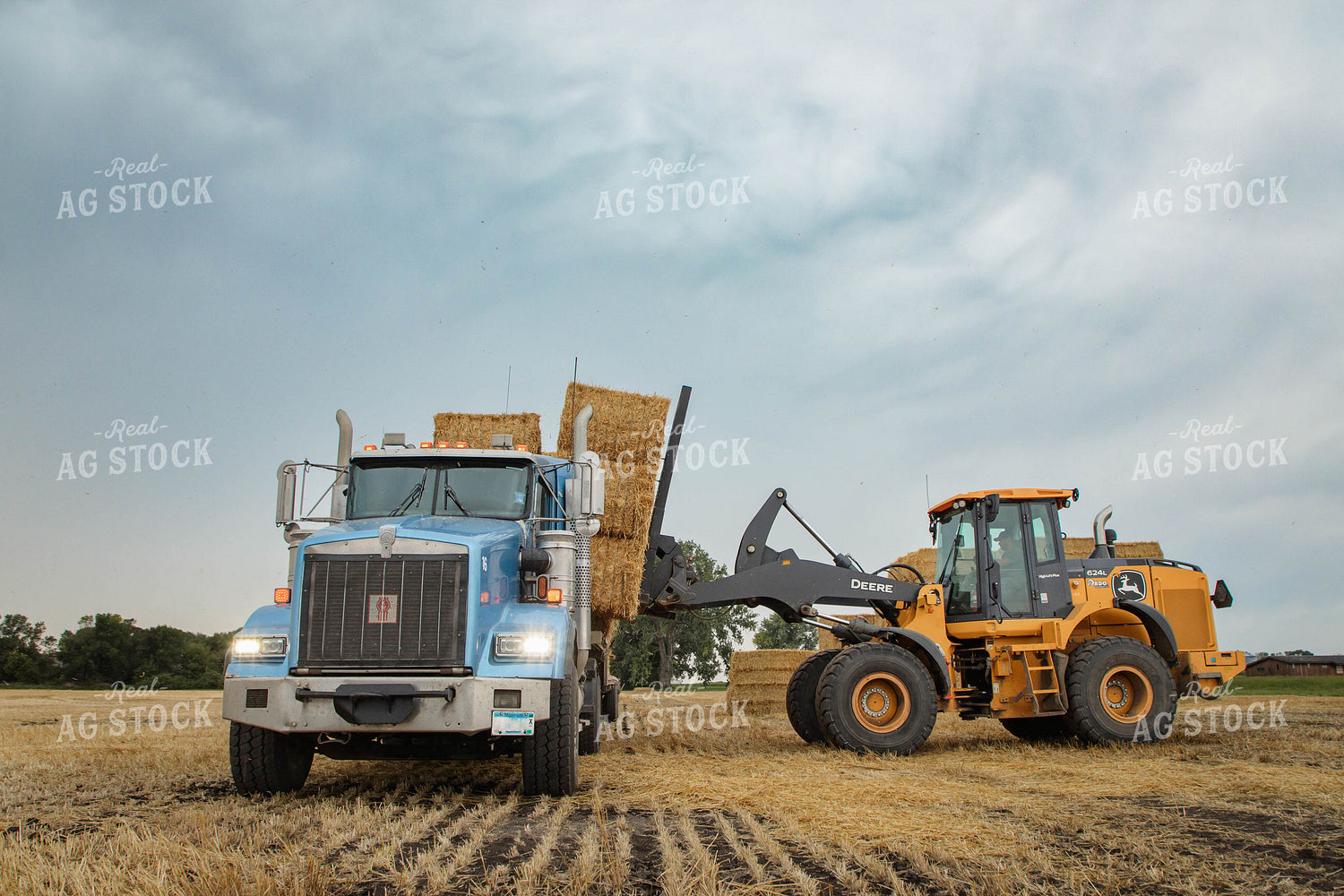 Stacking Wheat Straw Bales 152596