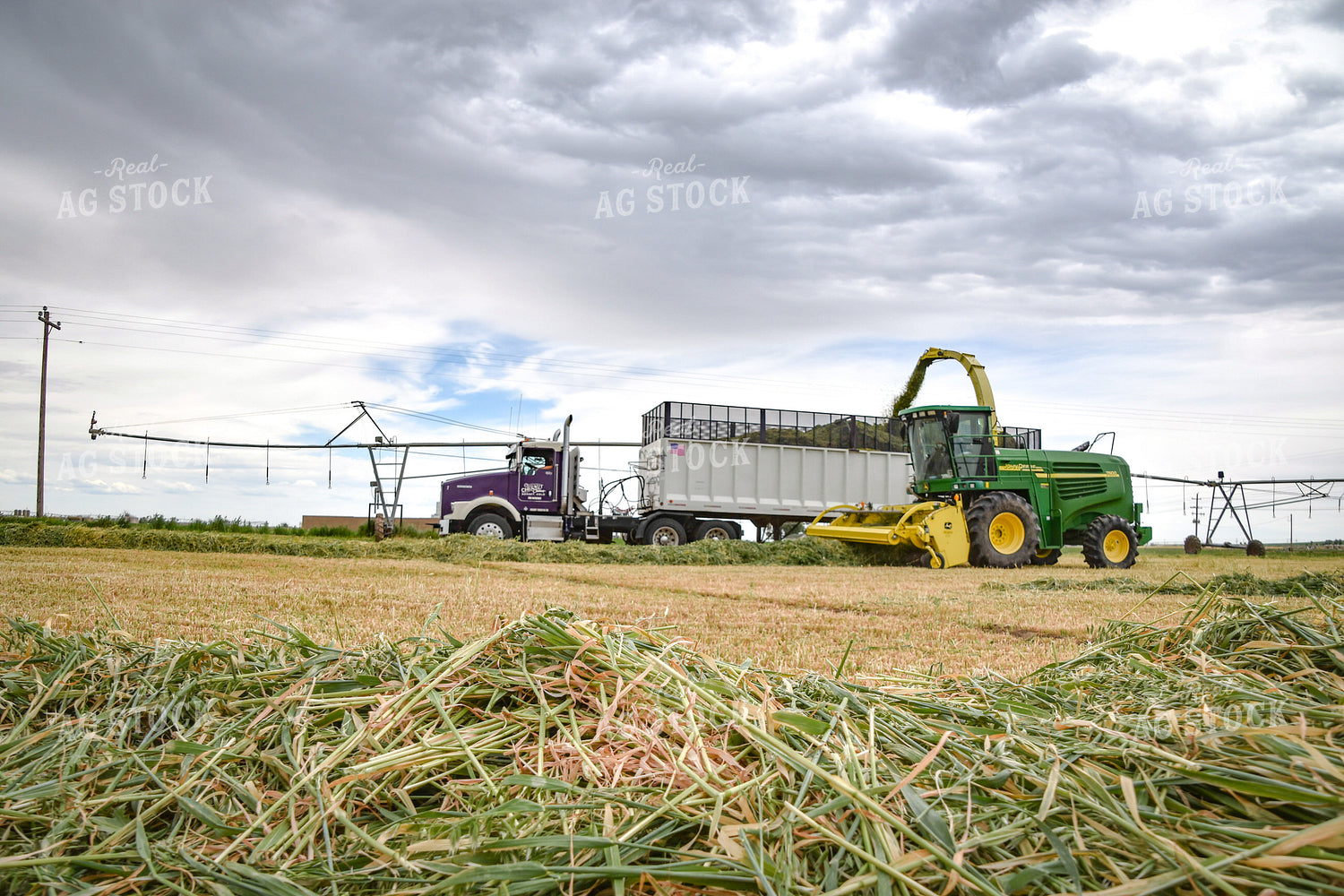 Making Haylage 56435