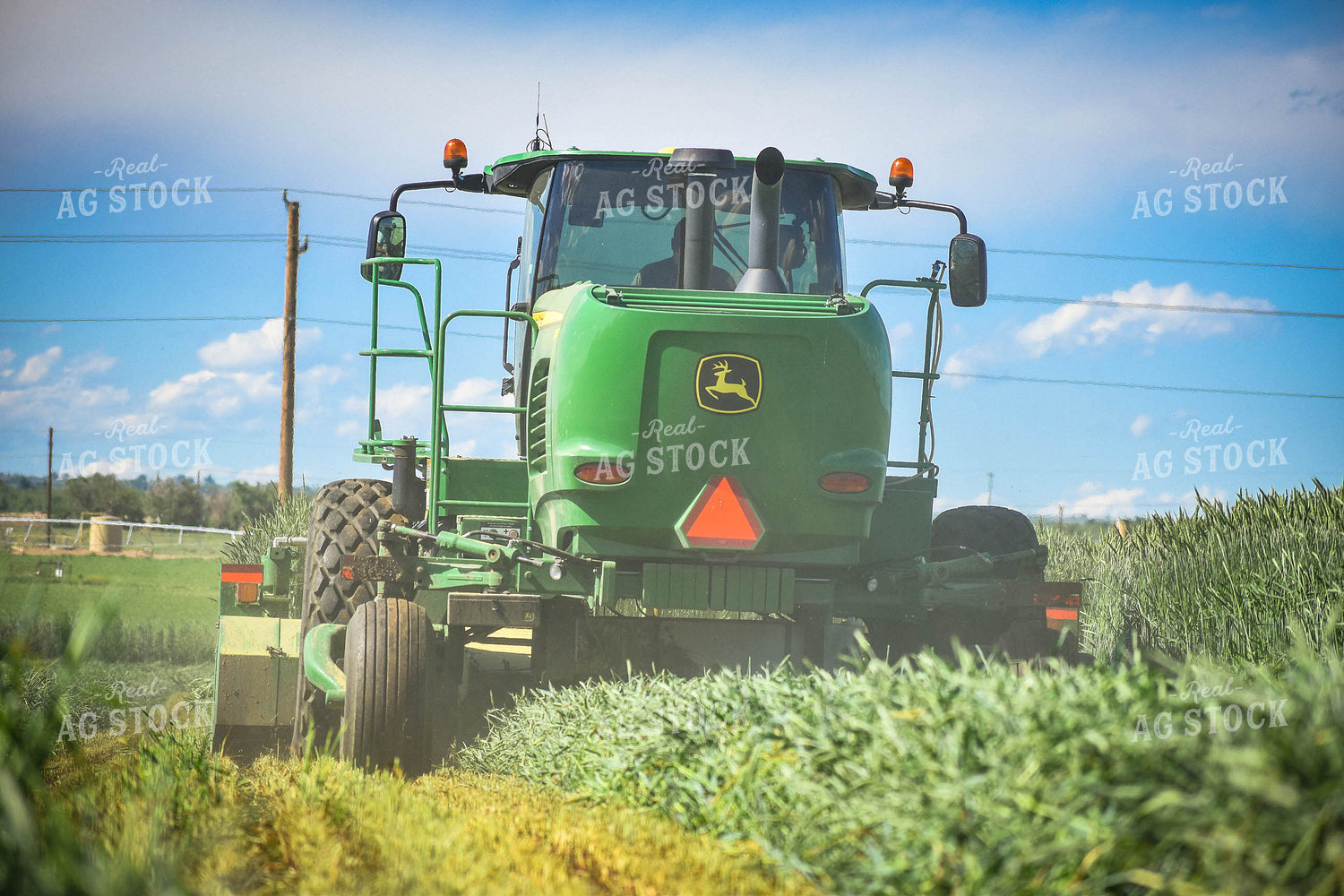 Cutting Wheat 56143